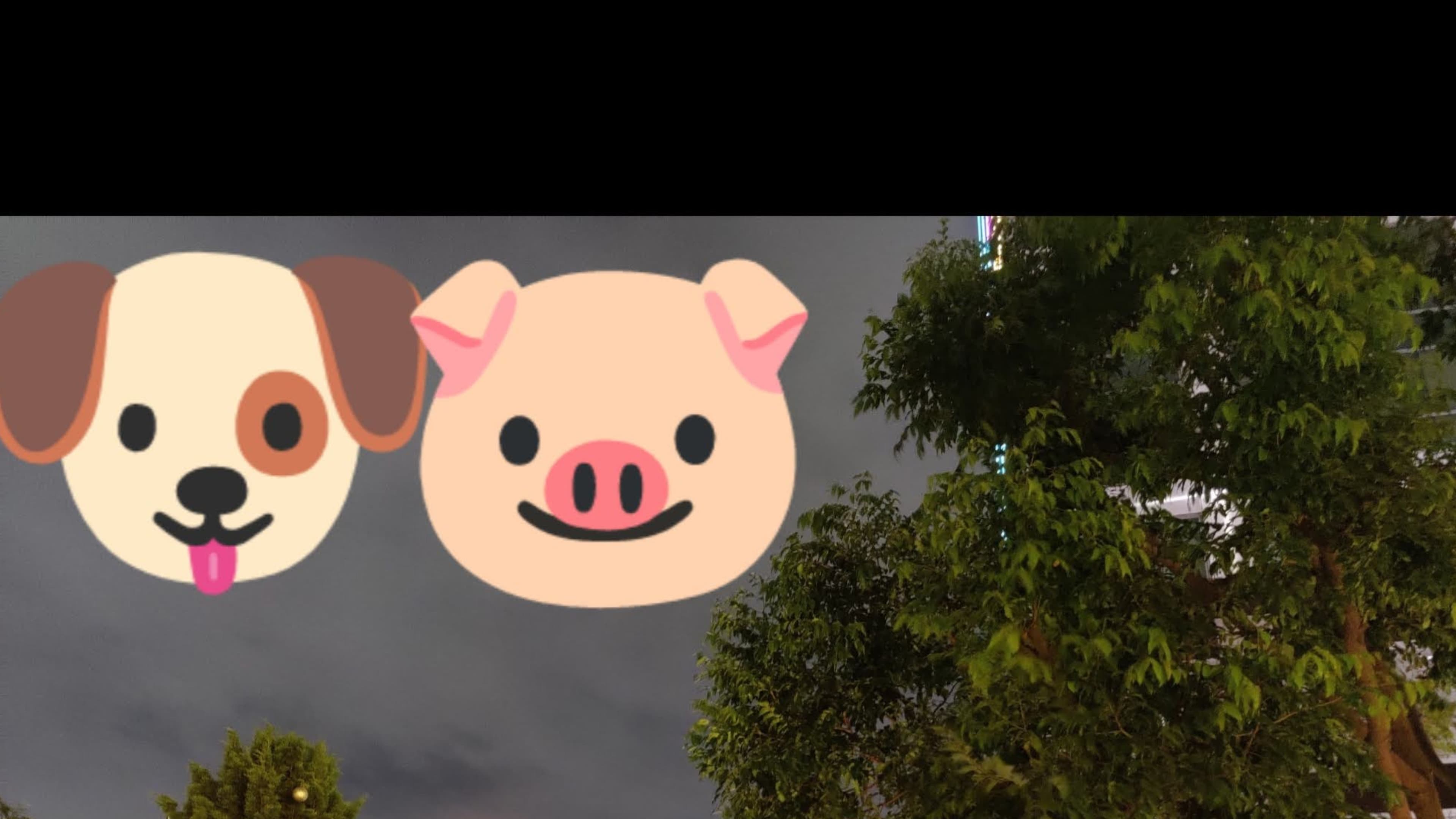 ddungshik banner image