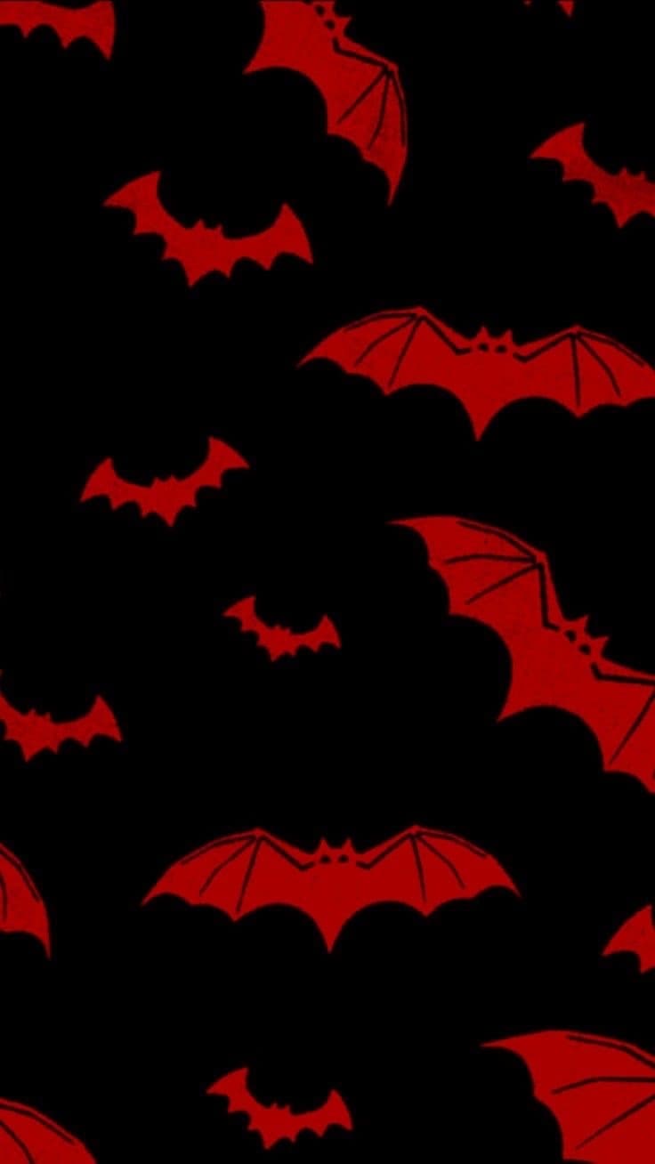 Cail banner image