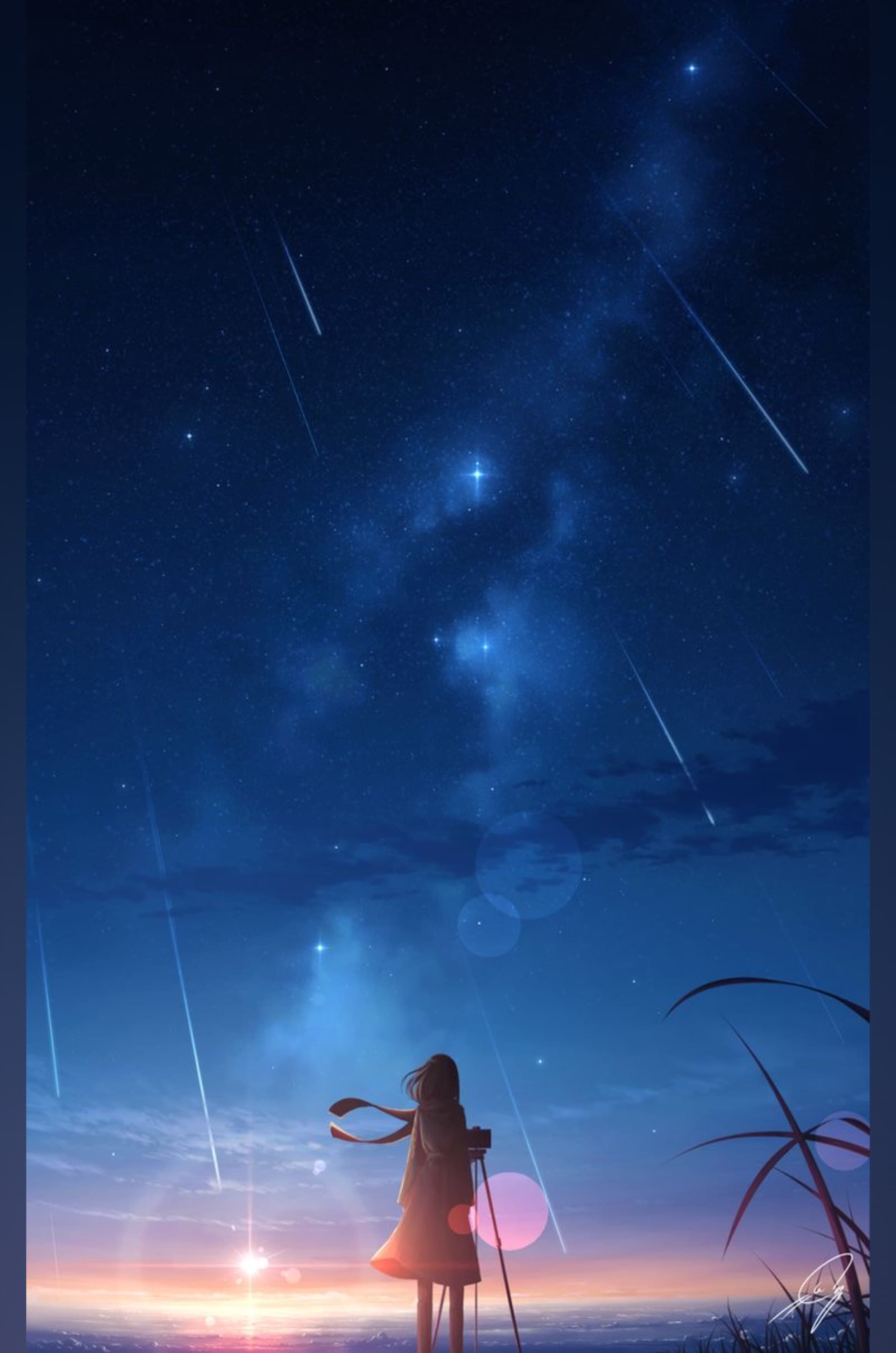 Ting banner image