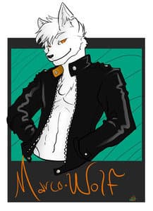 Marco Wolf banner image