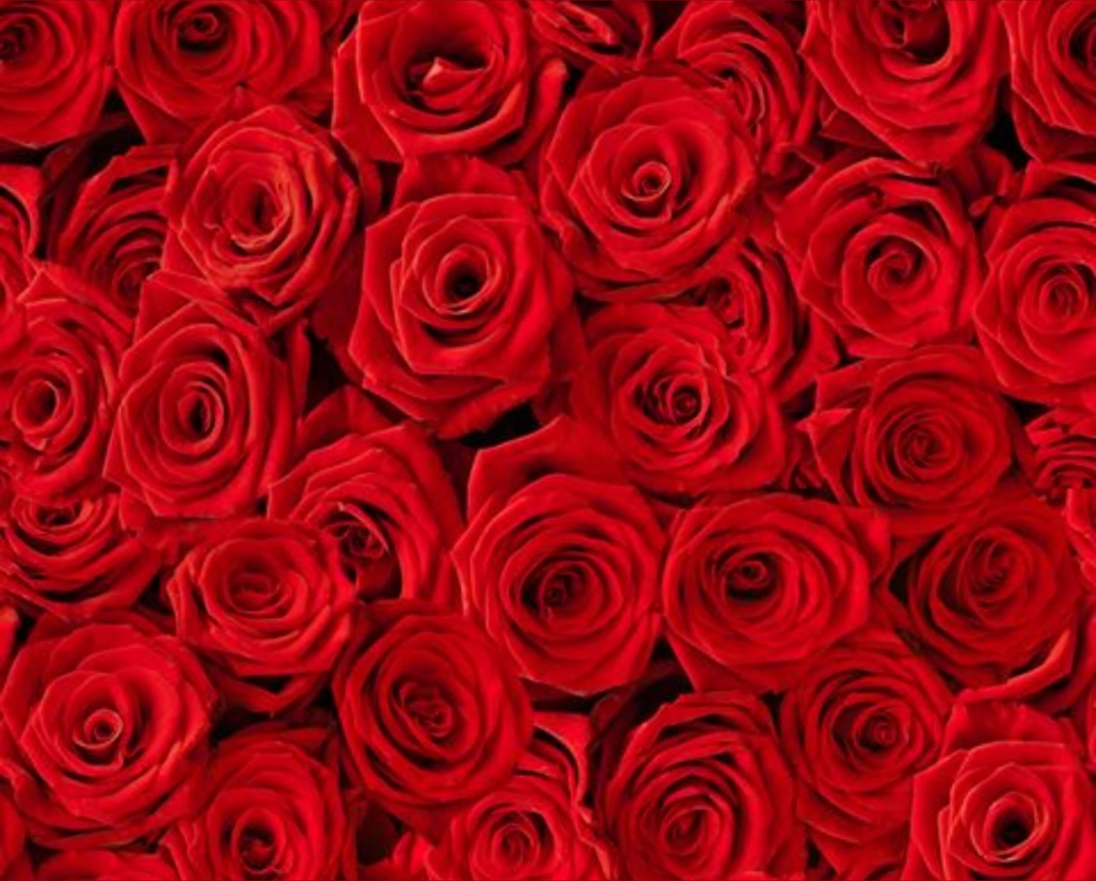 BlessedBeauty banner image