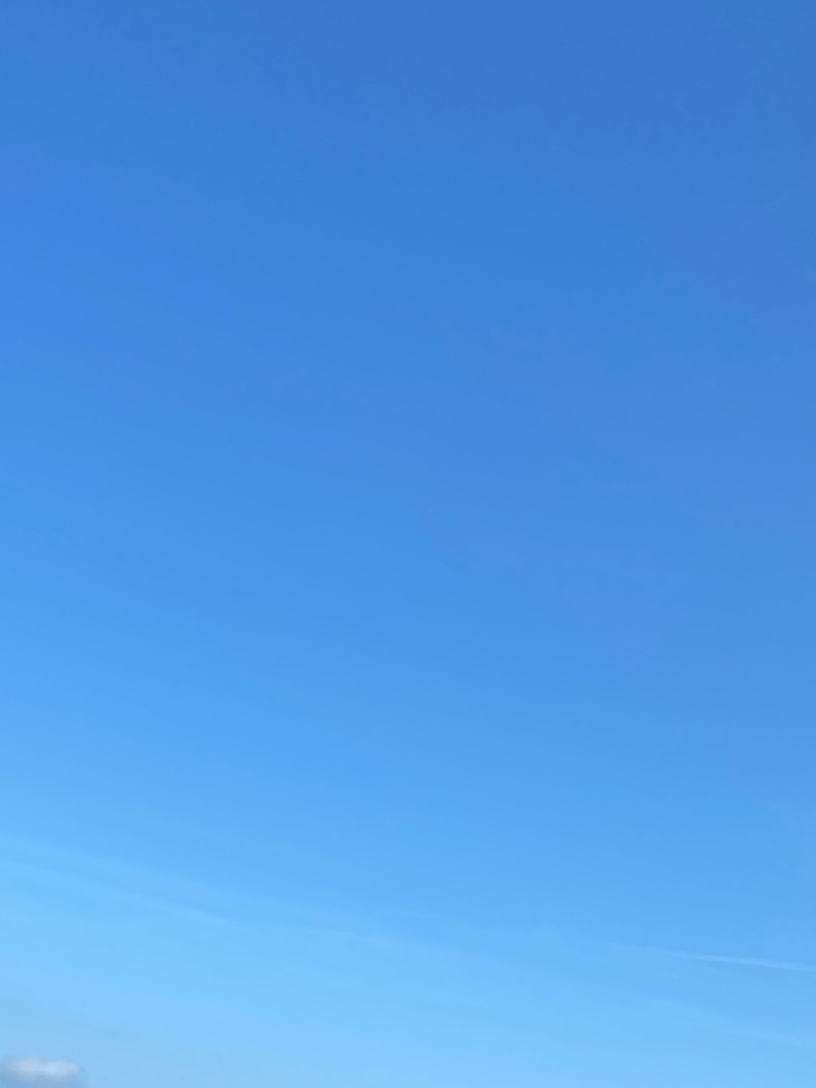 Foot princess banner image