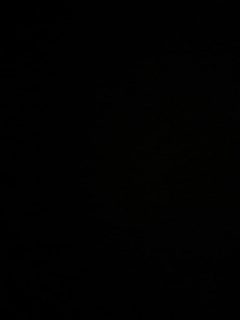 alexis banner image