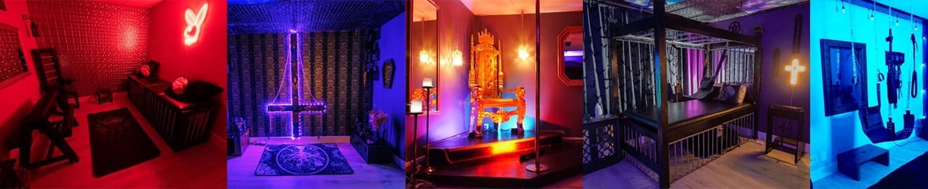 VenusVids banner image