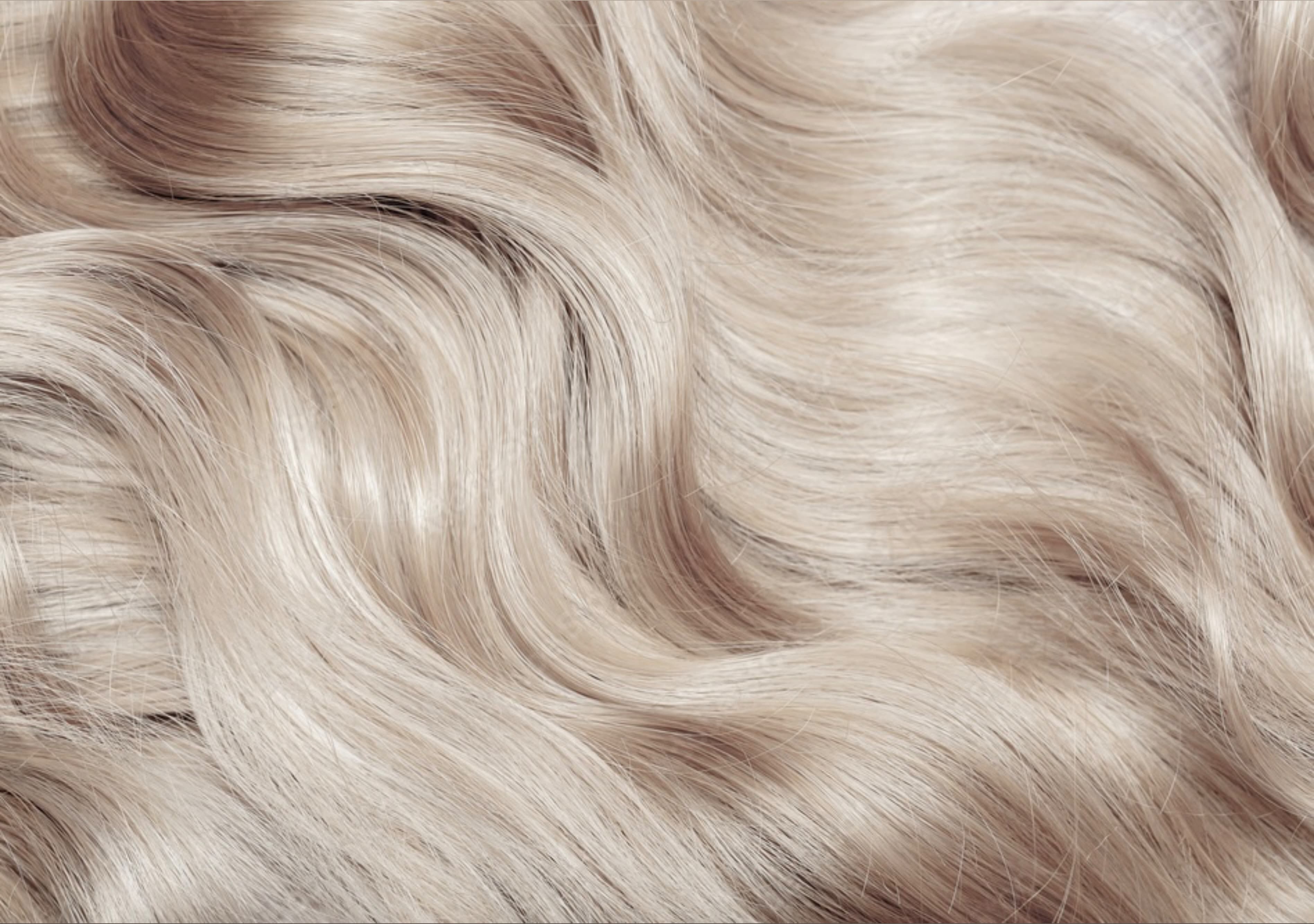 BlondeNfeet banner image