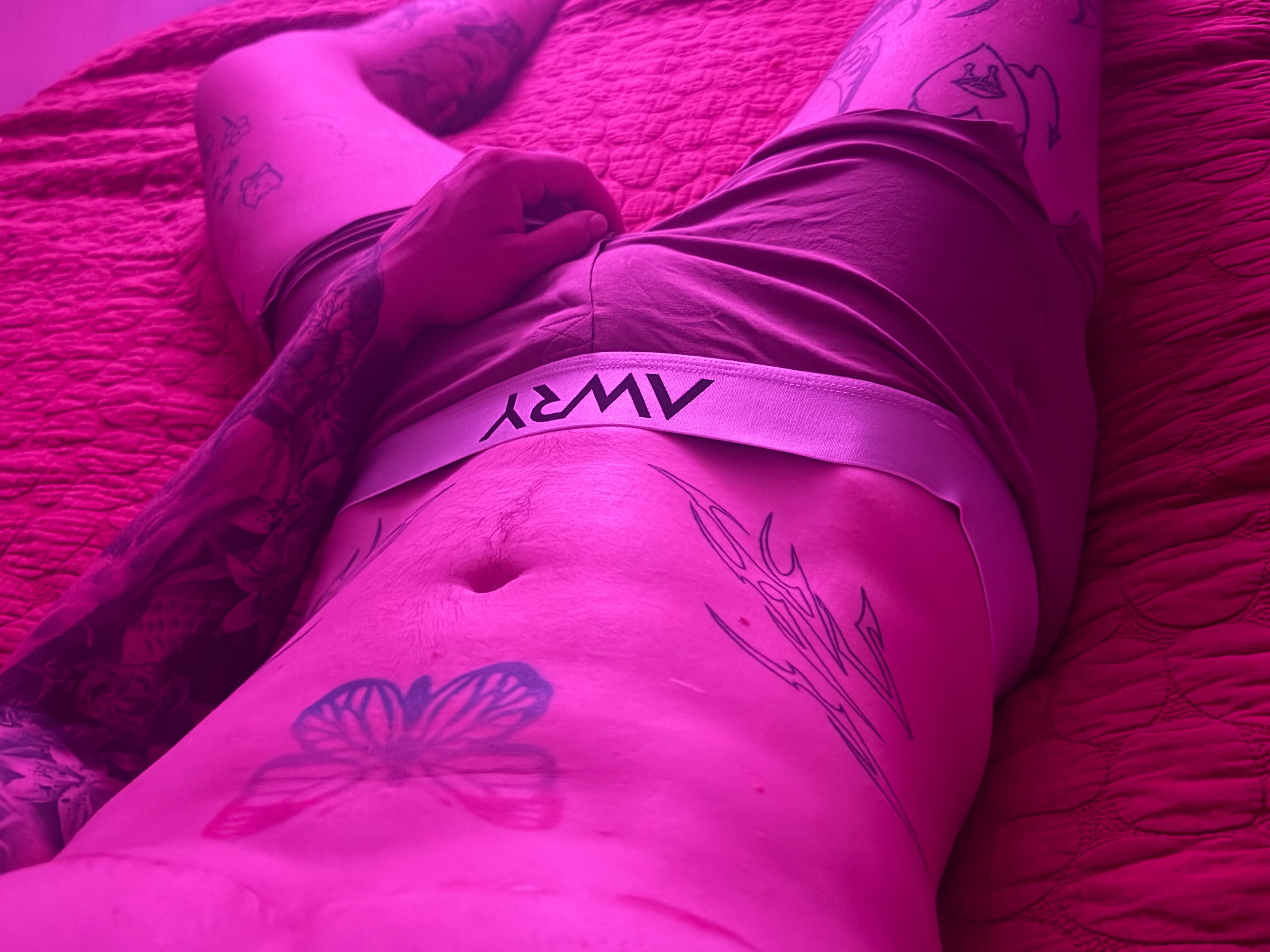 Lex banner image