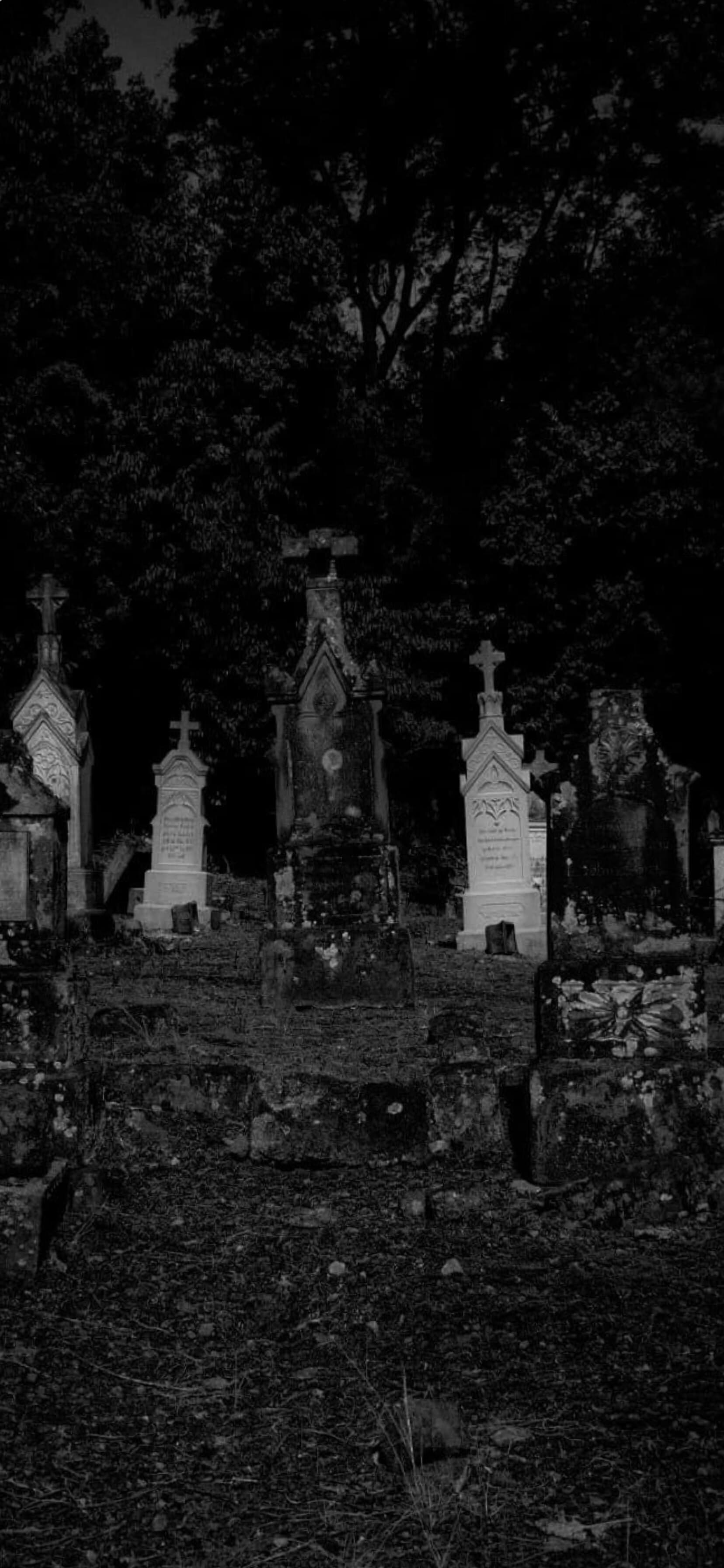 Bella🕸️🖤 banner image