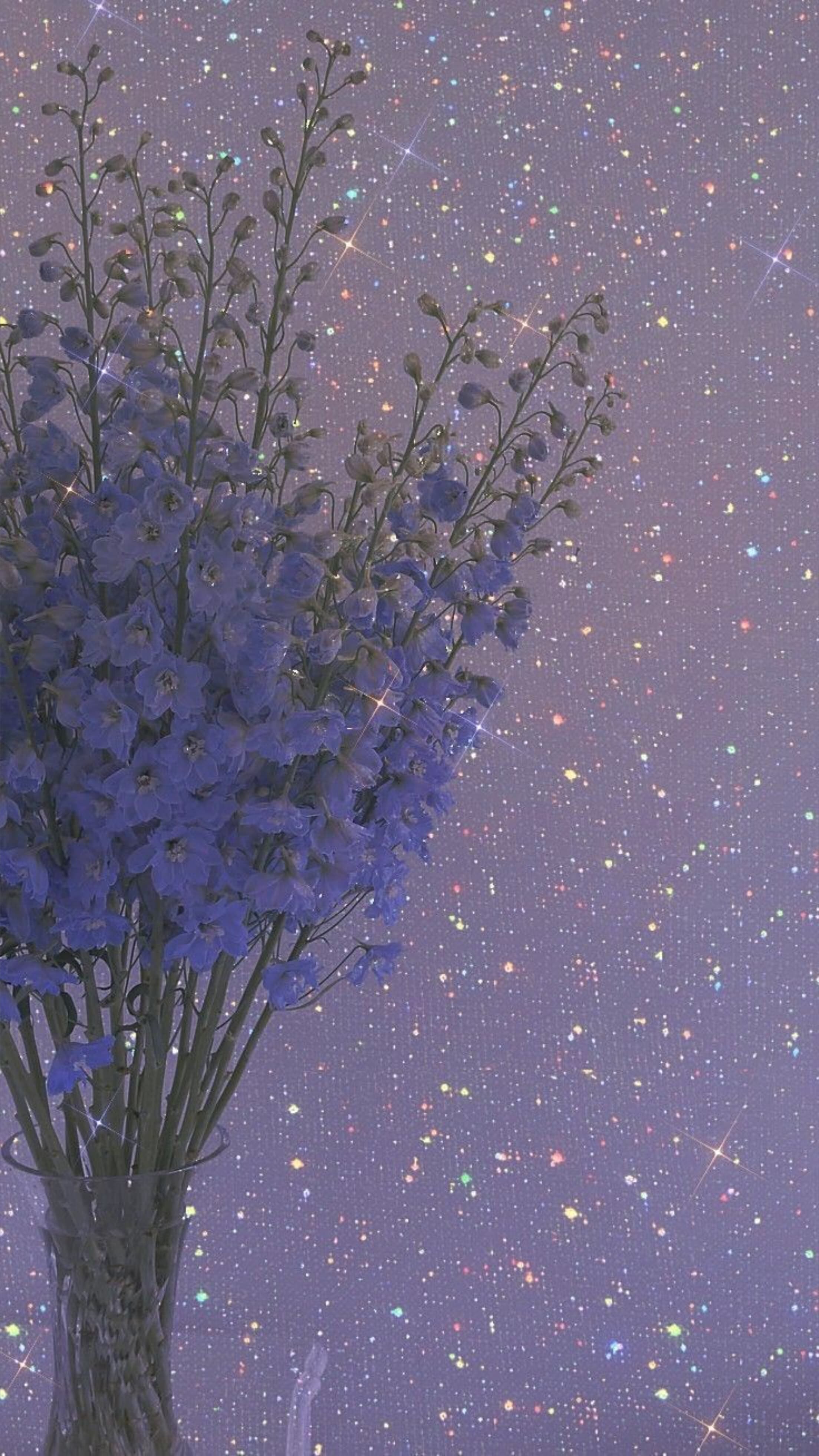 Síofrä banner image