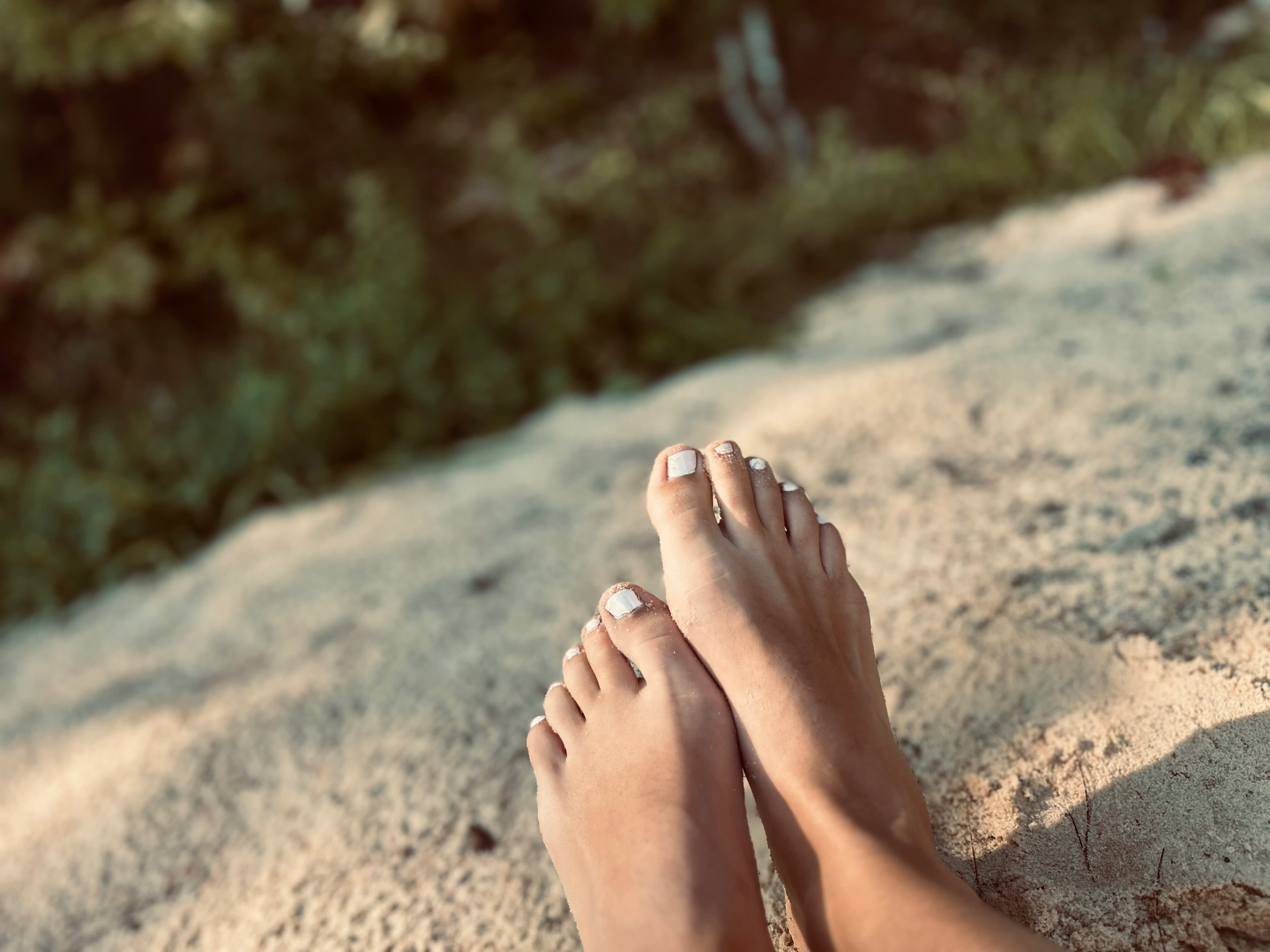 Daisy Mae banner image