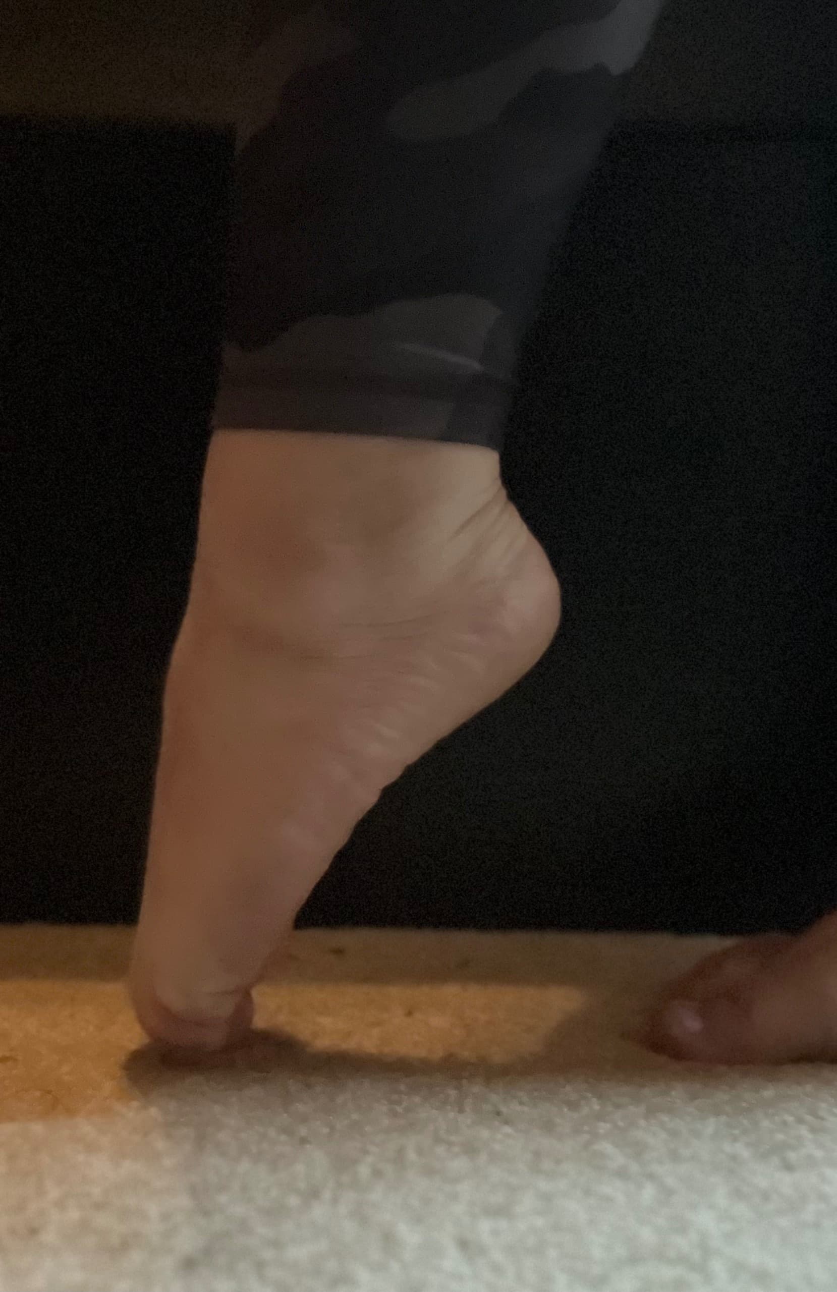 Lexi banner image