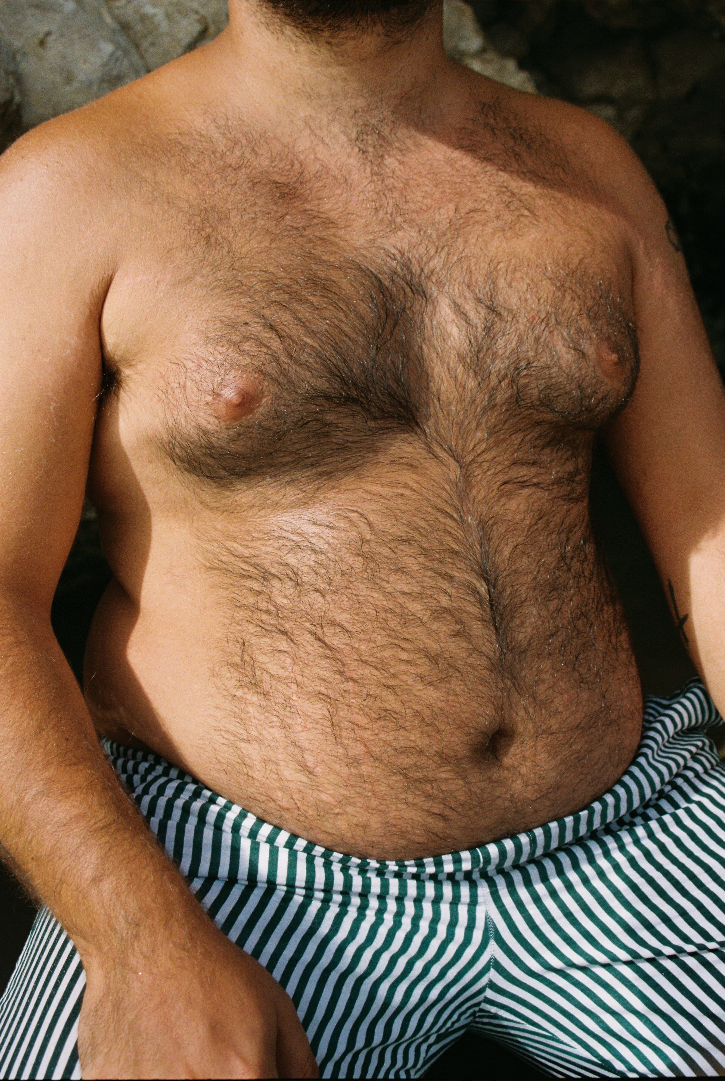 Czech_Bear_ banner image