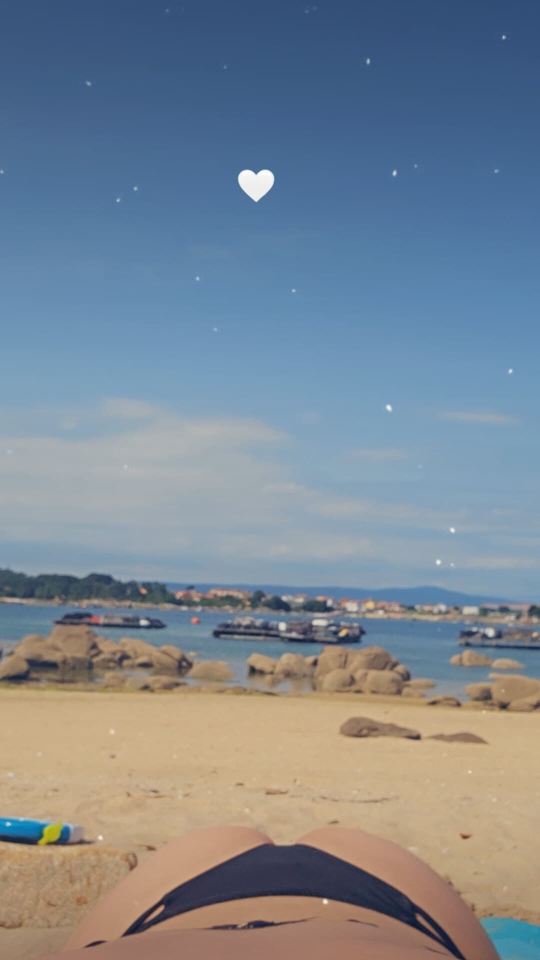 Nereinhaa19 banner image