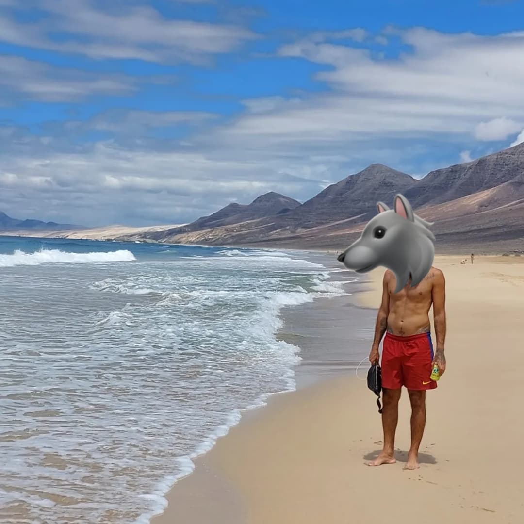 Sylar Wolf banner image