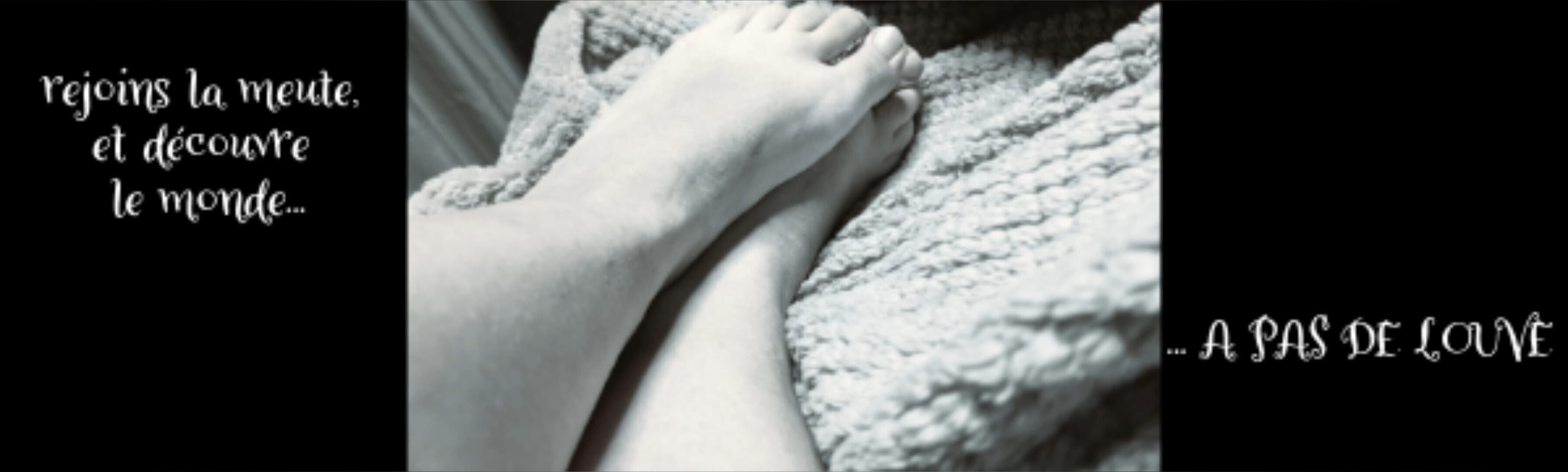 APasDeLouve banner image