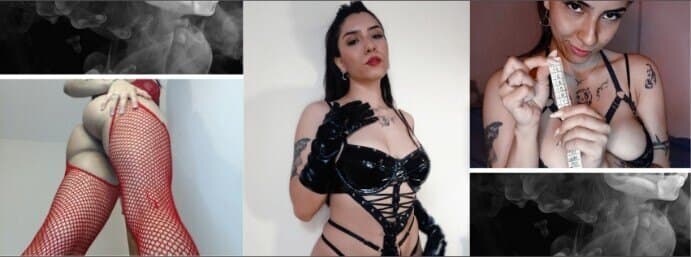 Violett ๐ค๐ banner image