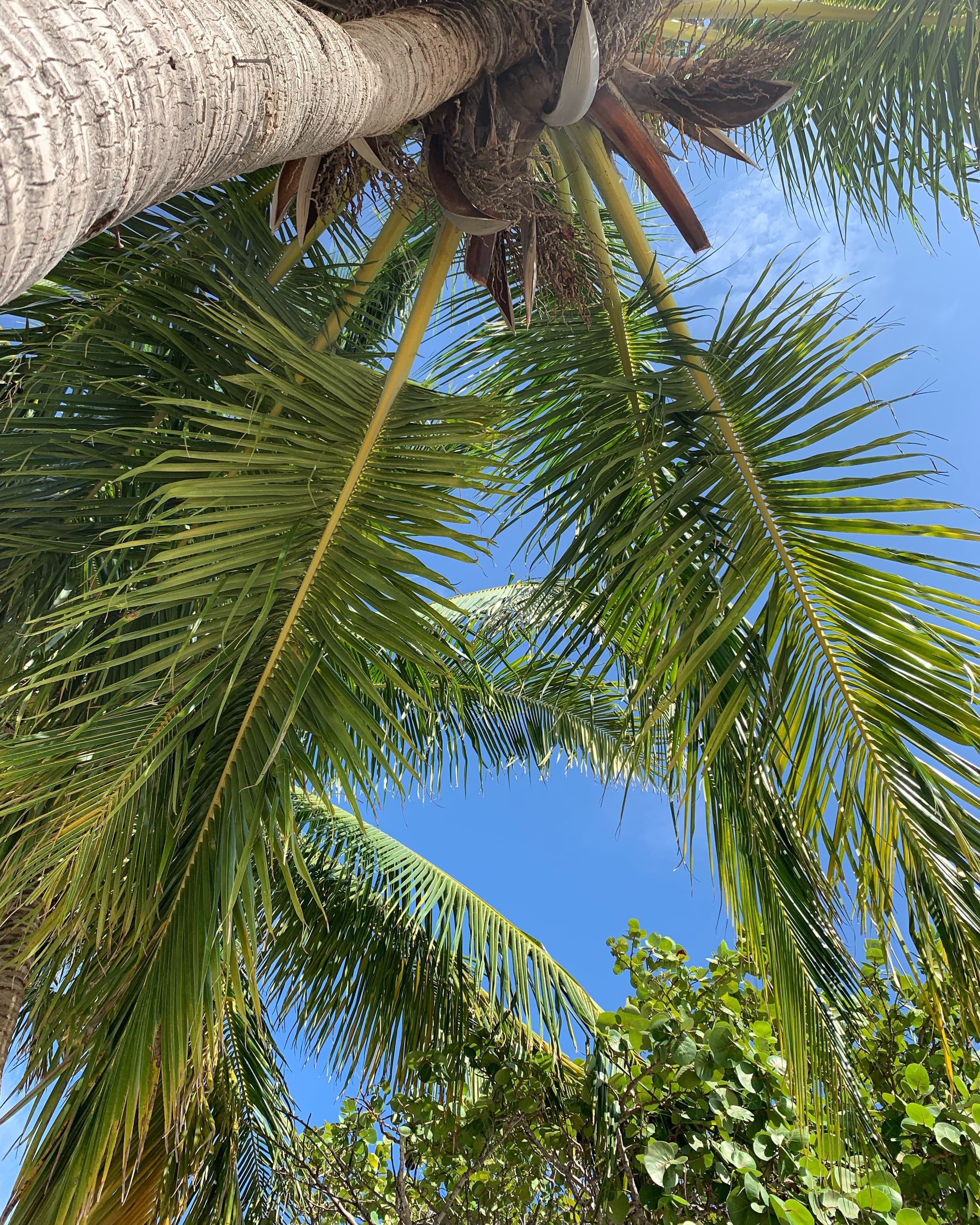 Palm Beach🌴 banner image