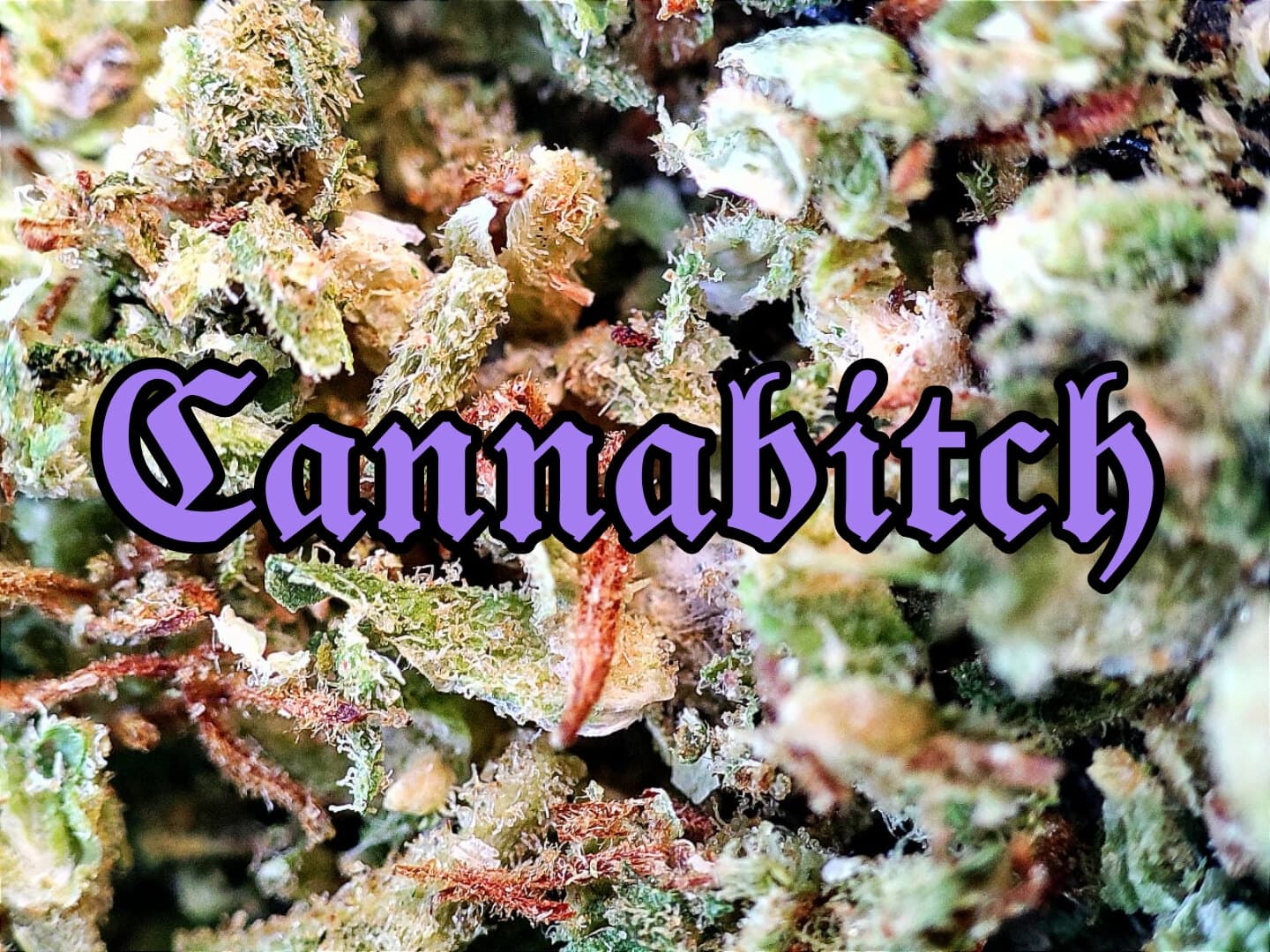 ๐ฎ๐๐๐๐๐๐๐๐๐ banner image
