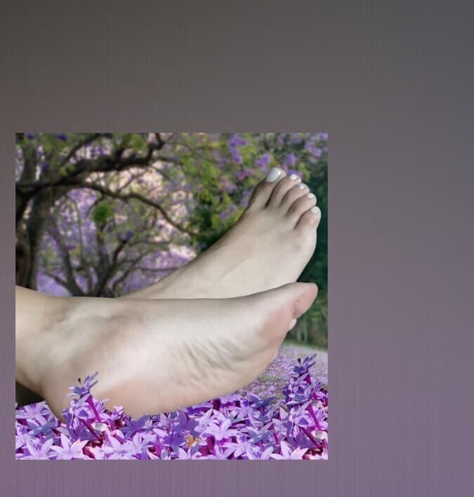 Purple Rose banner image