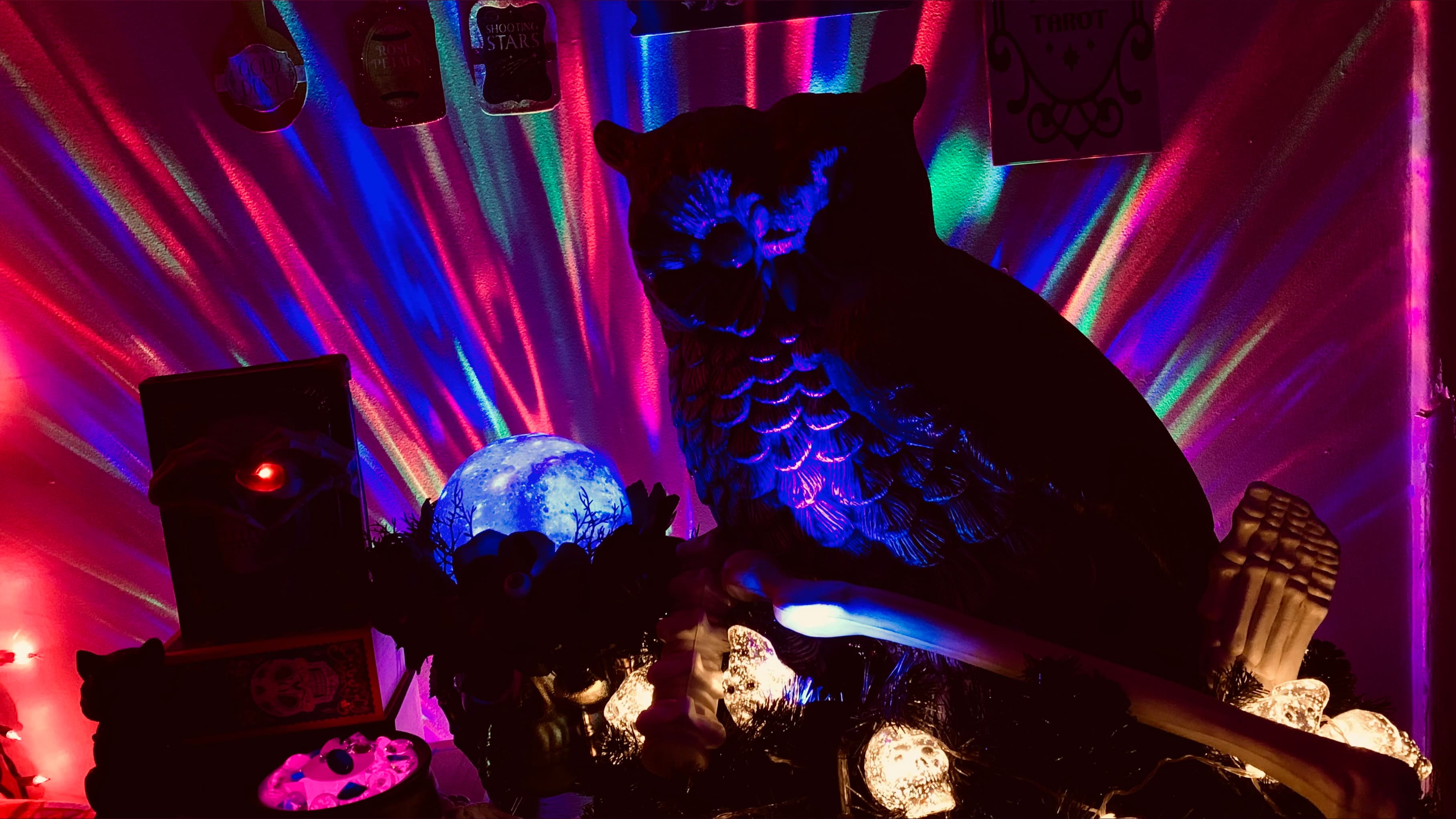 RaneeDazeFree banner image