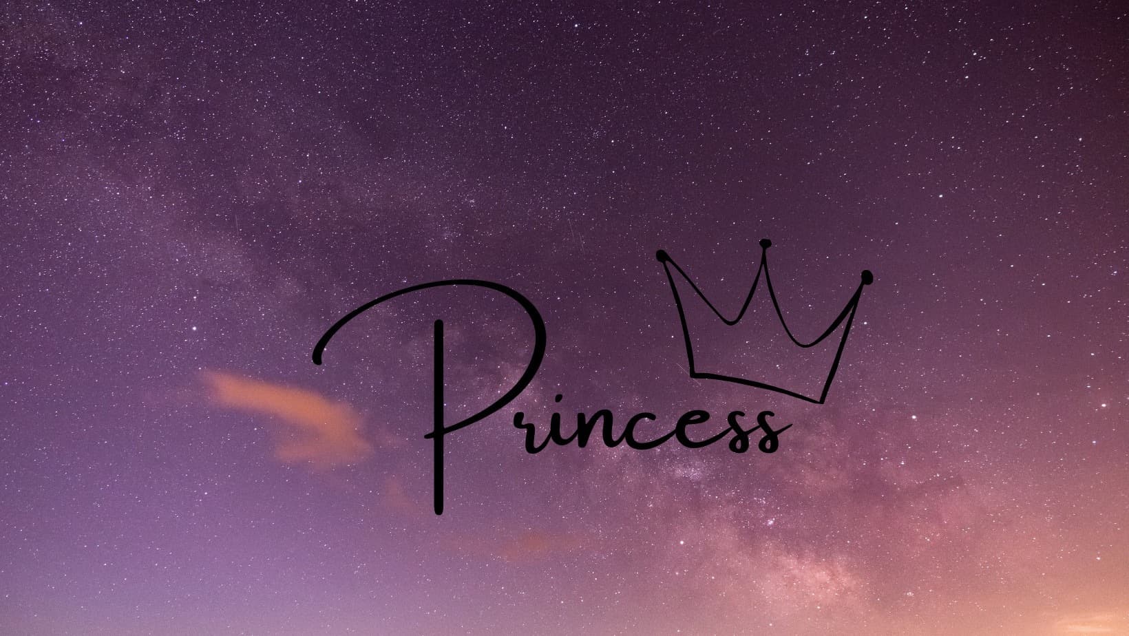 Princess Aly banner image