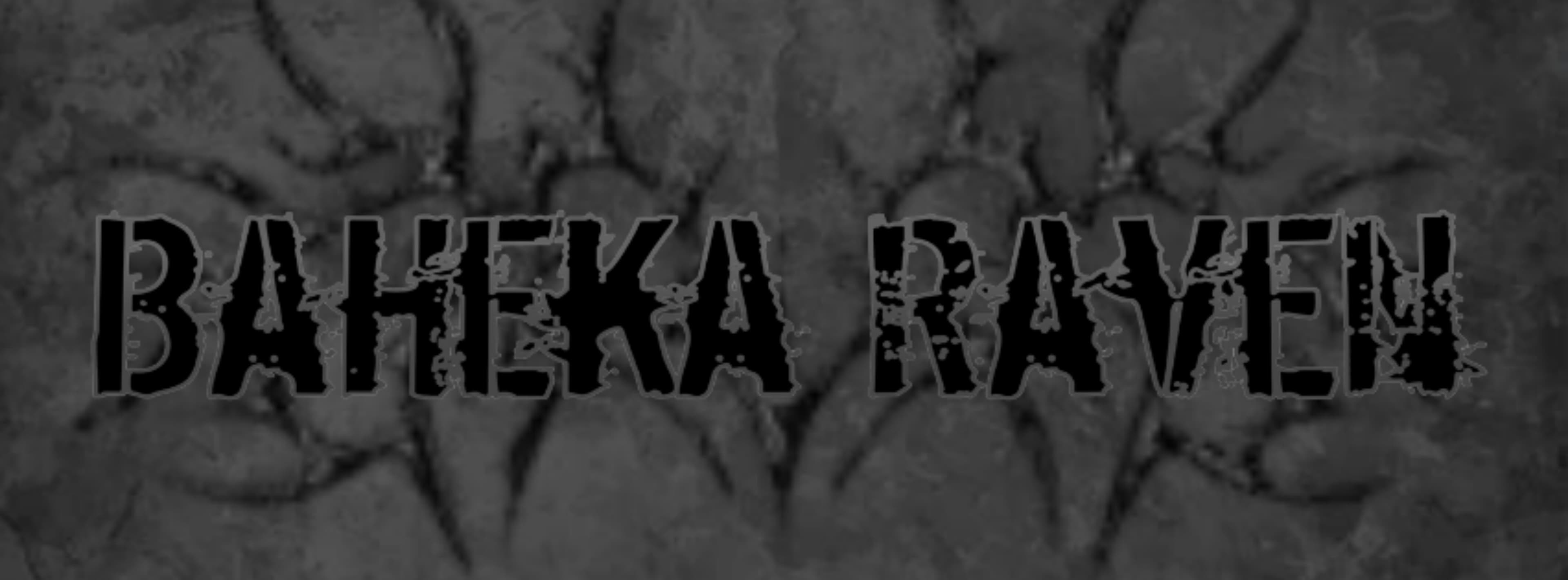 Baheka Raven banner image