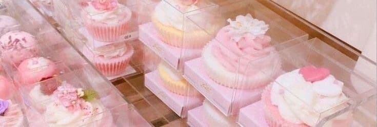 Trixie_Tang banner image