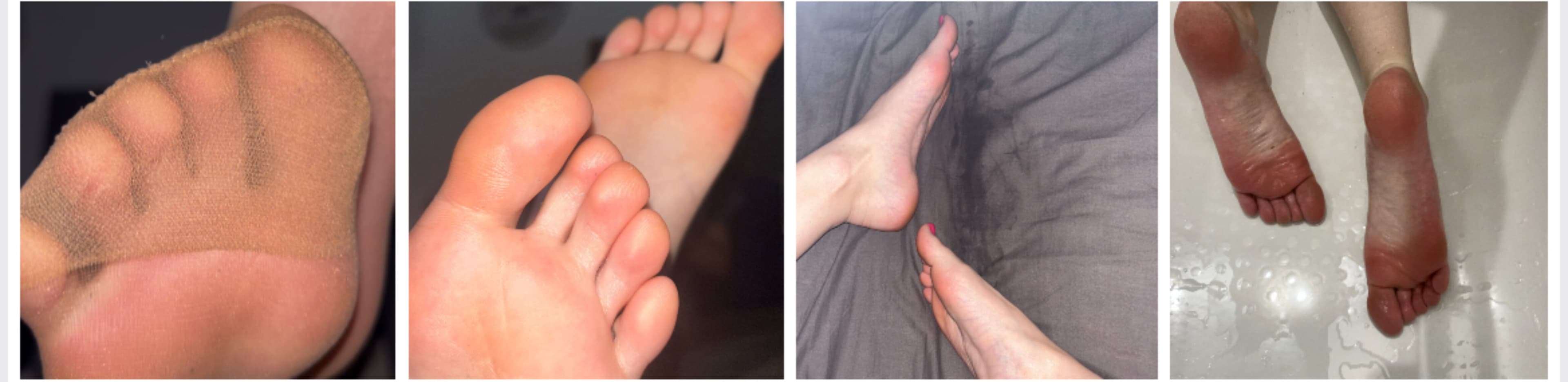 Cookie’s Feet 🦶 ❤️ banner image