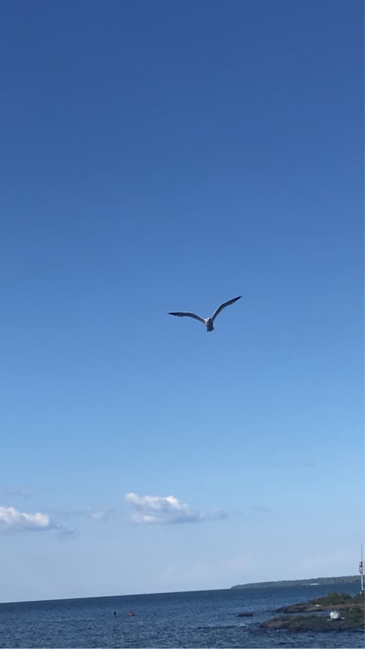 featuredguy banner image