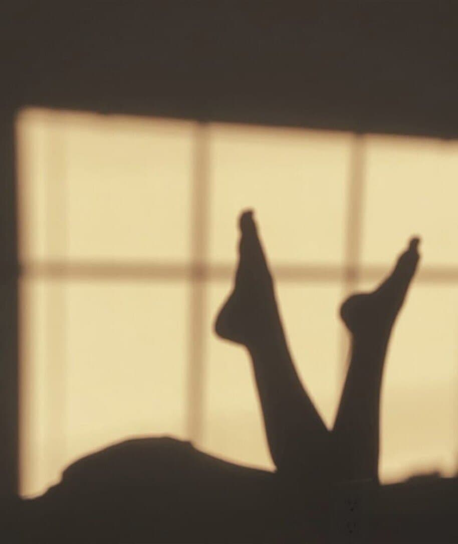 Antonella banner image