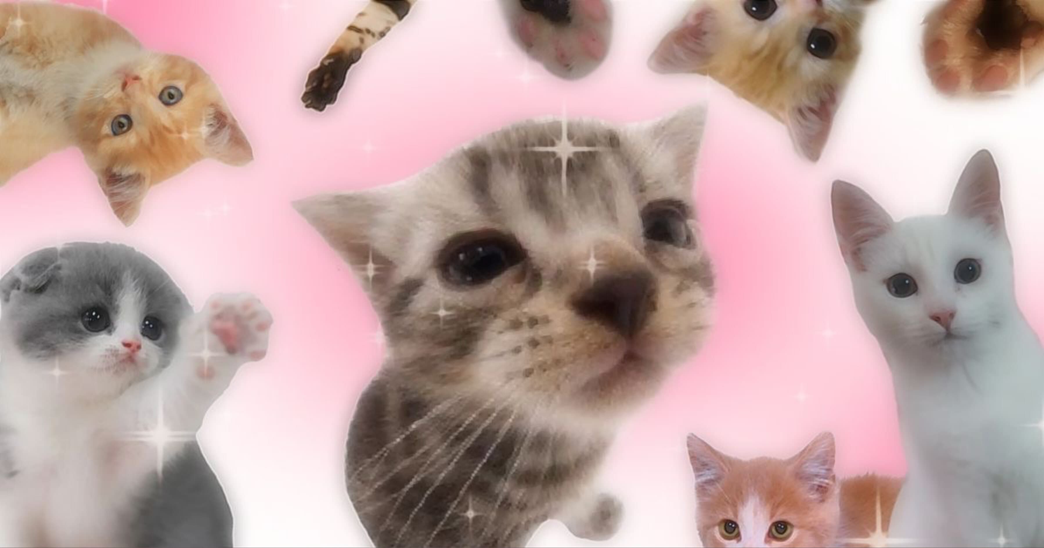 YUMMI ✰ banner image
