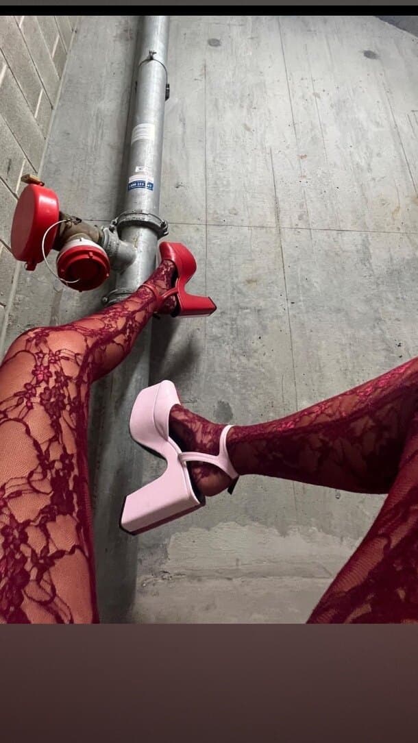 π ππͺπ΅πͺ π banner image