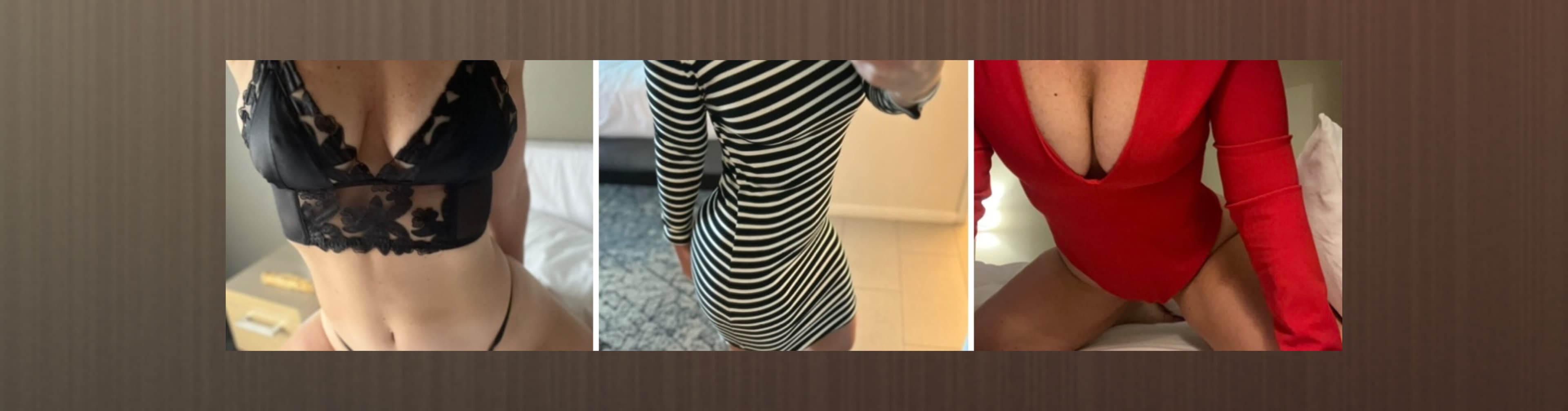DirtyTurtle banner image
