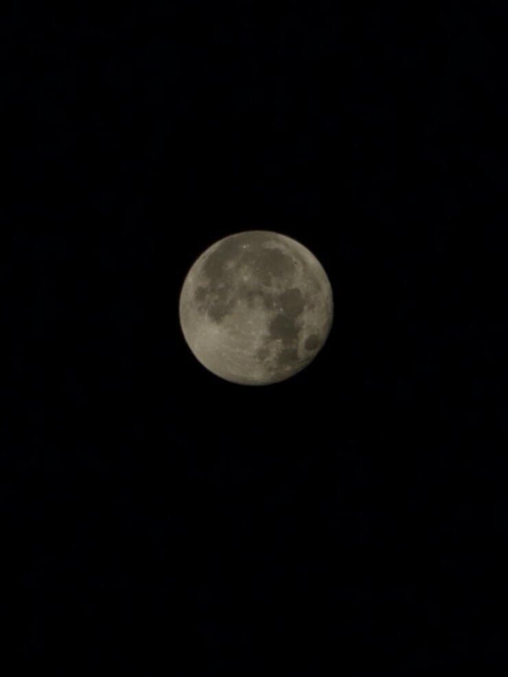 IraMel banner image