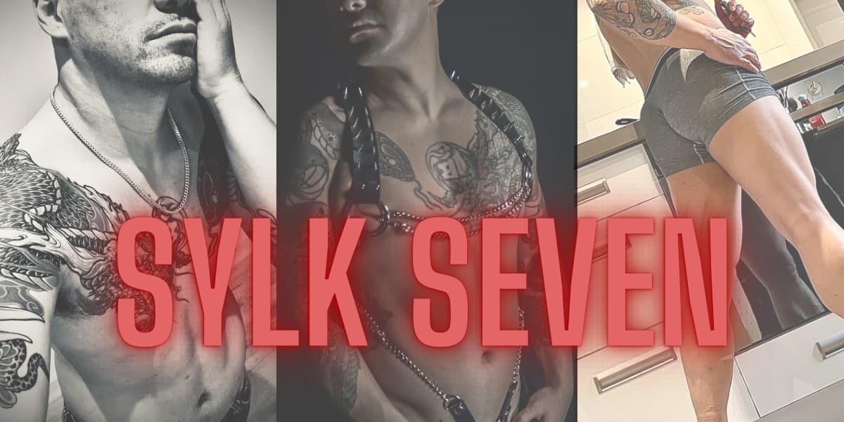 Sylk banner image