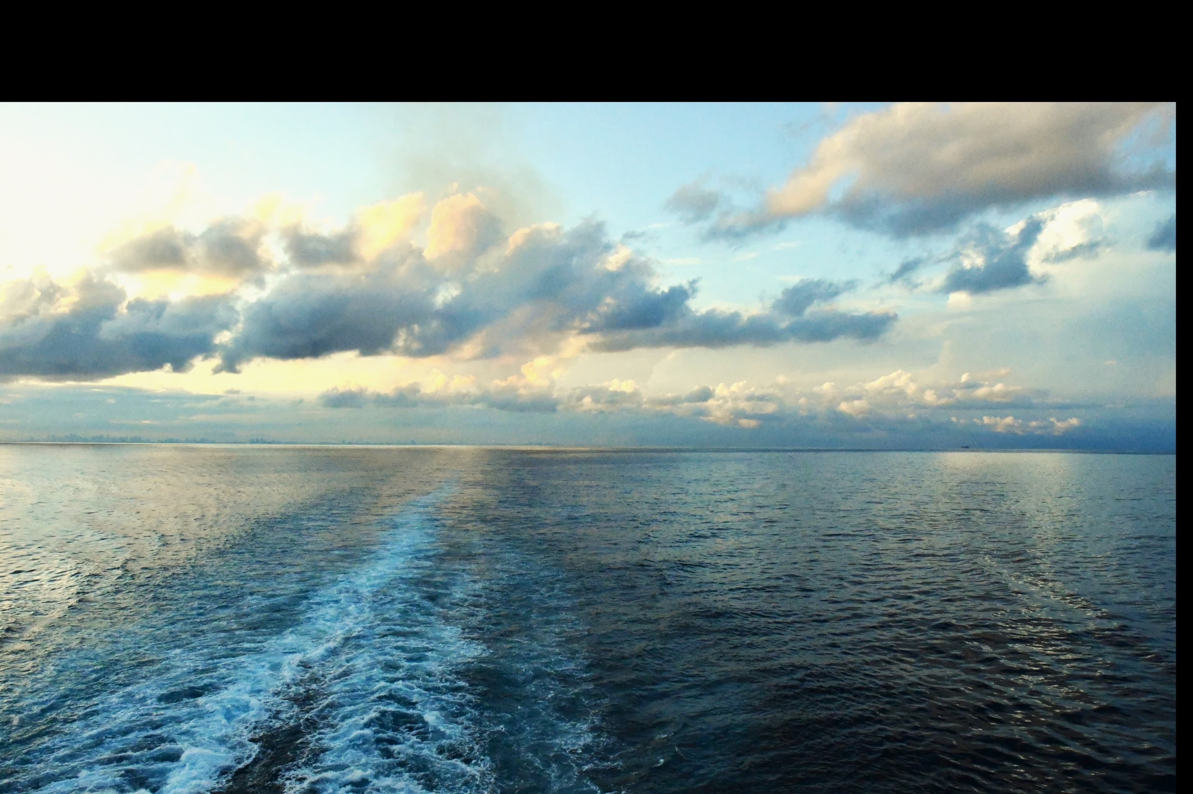 Tripp banner image