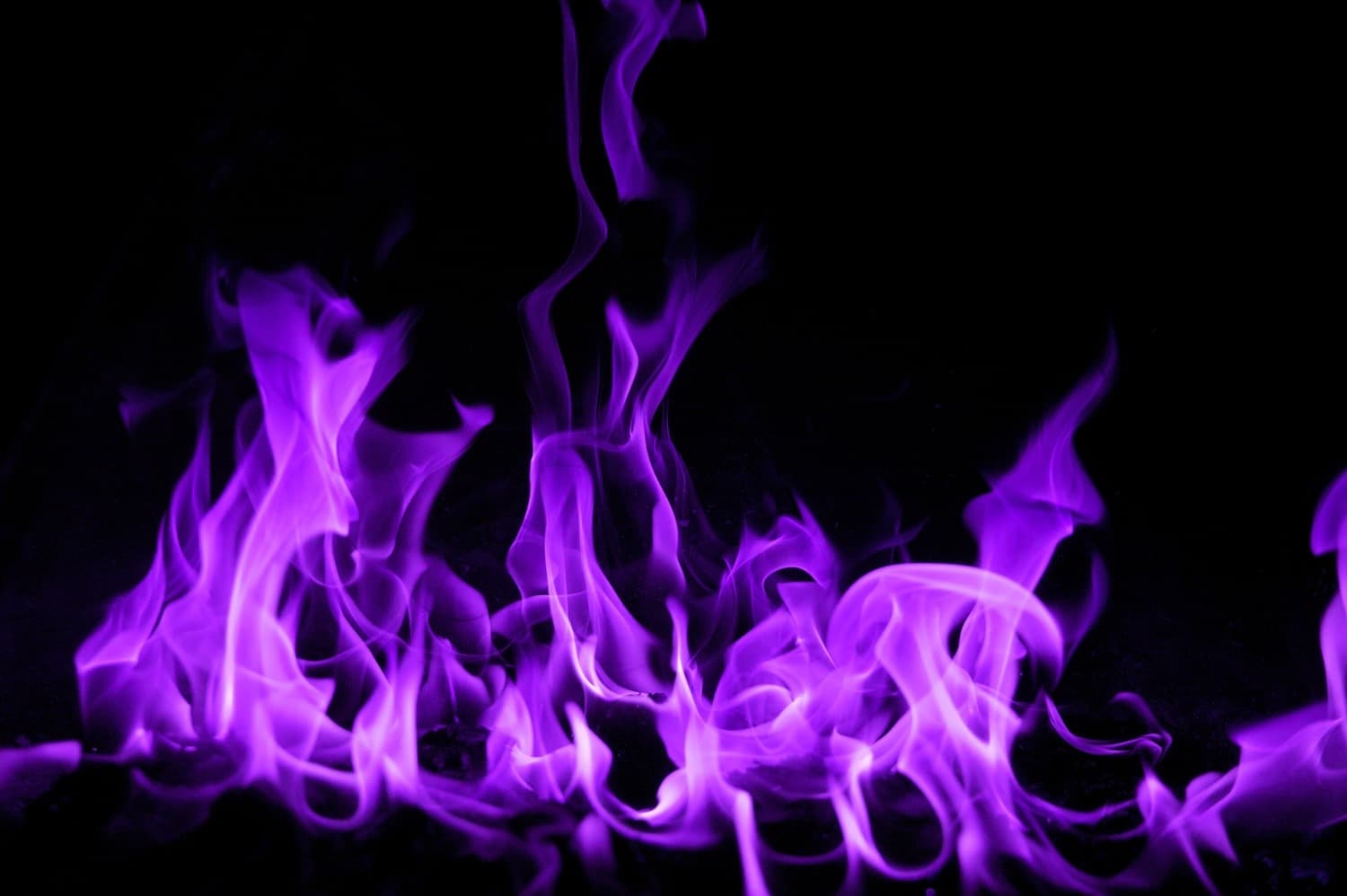 Venus devi banner image