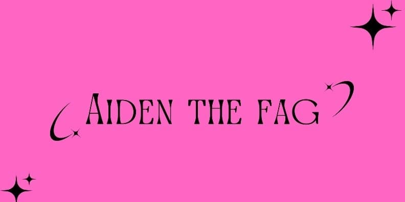 Aiden the Fag banner image