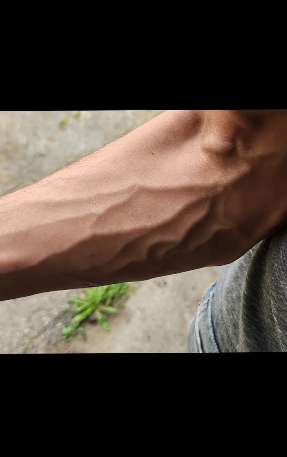 ProteinJesus banner image