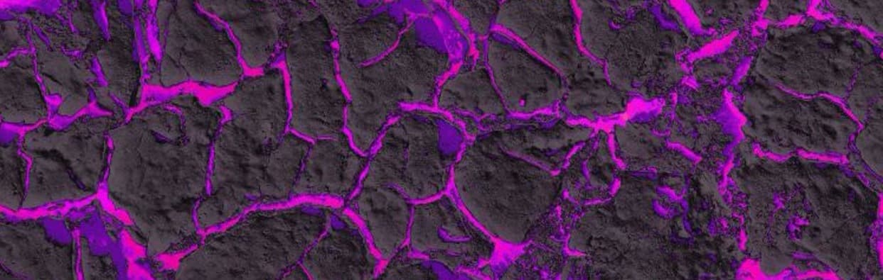Artemis Rose🐈⬛ banner image
