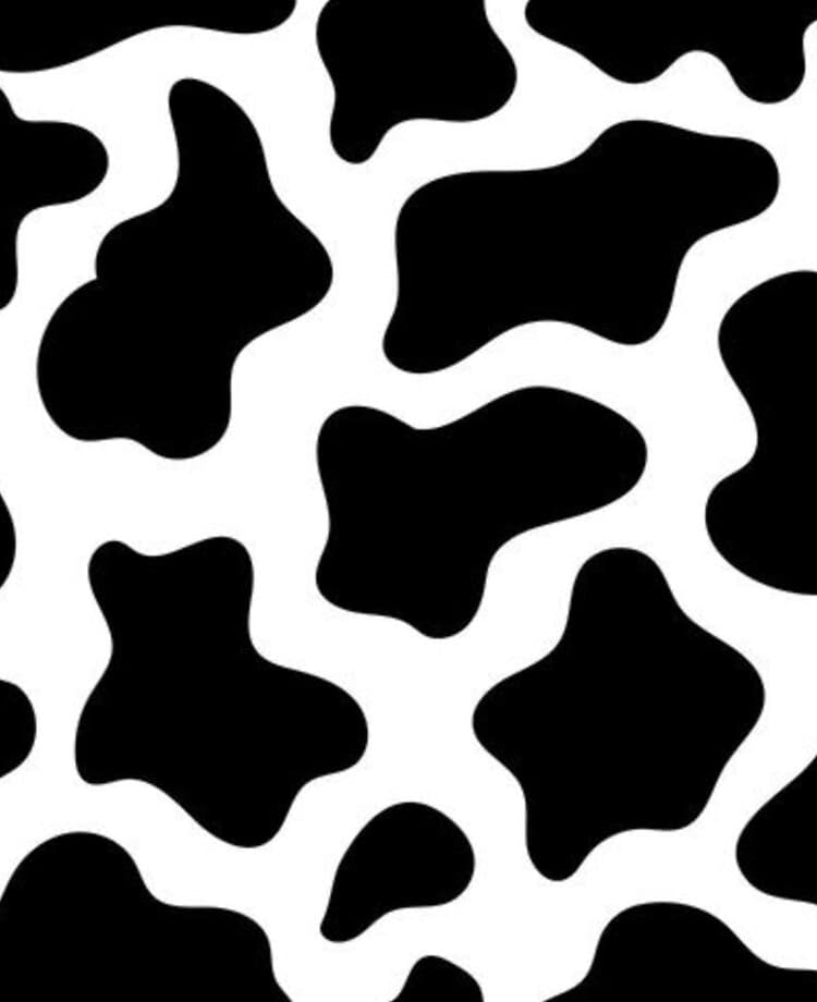 Miss Betsy Bell banner image