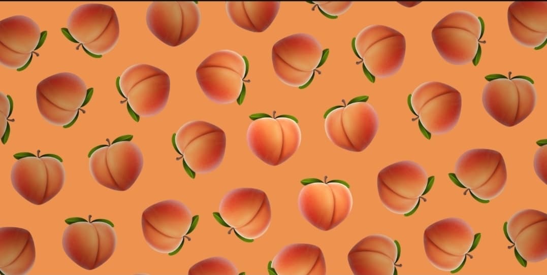 Larissa Monroe banner image