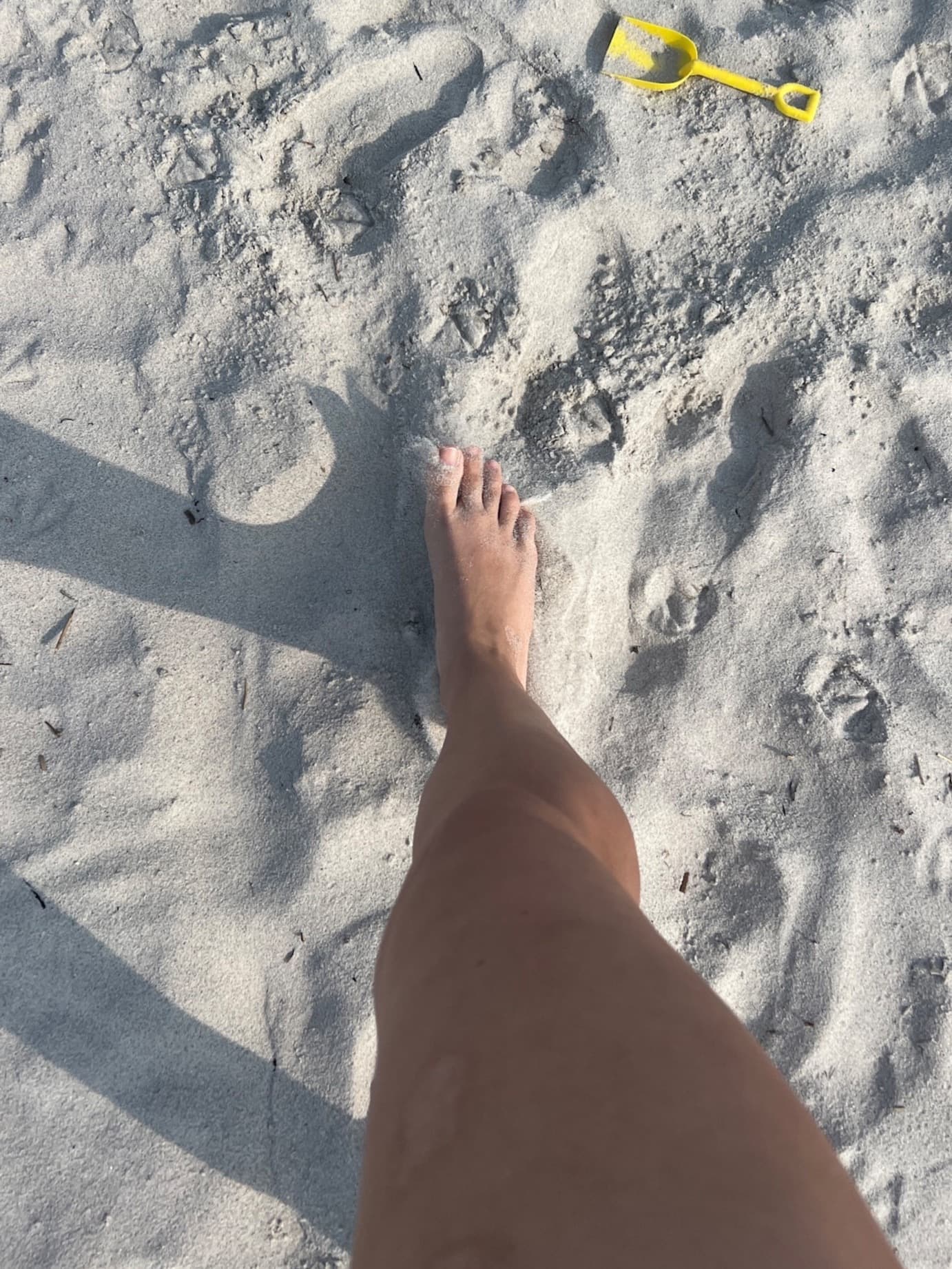 Miss Lavender Forest and her feet! banner image