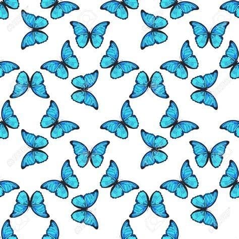 Mariposa banner image