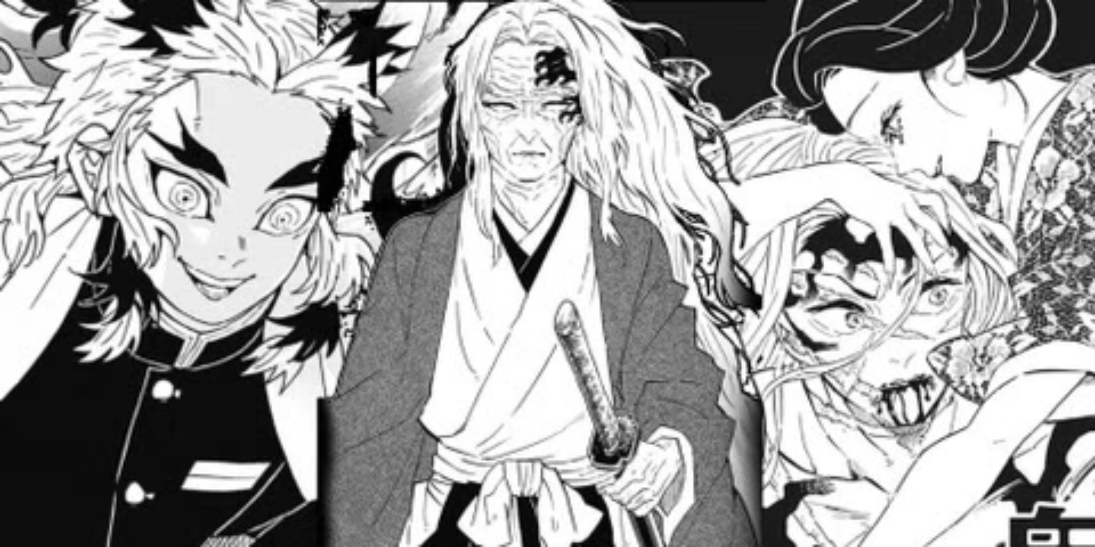 Ana banner image