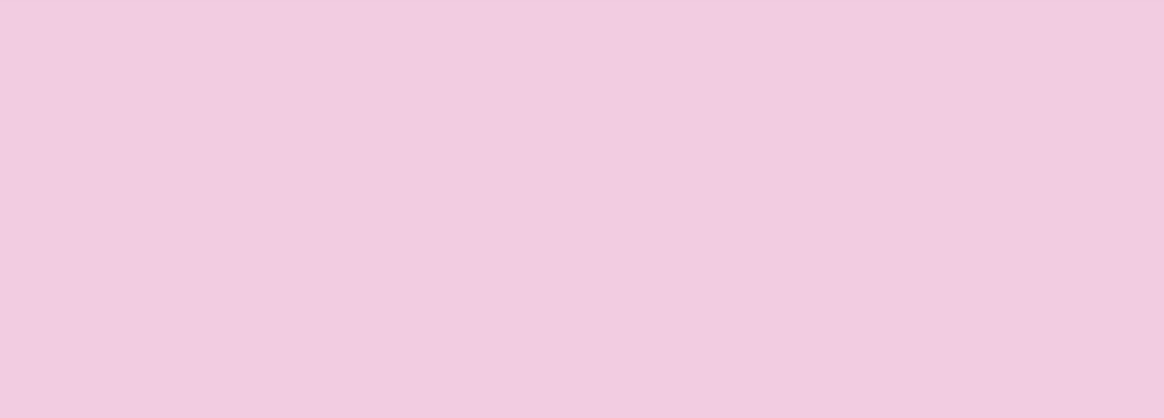 princess paris banner image