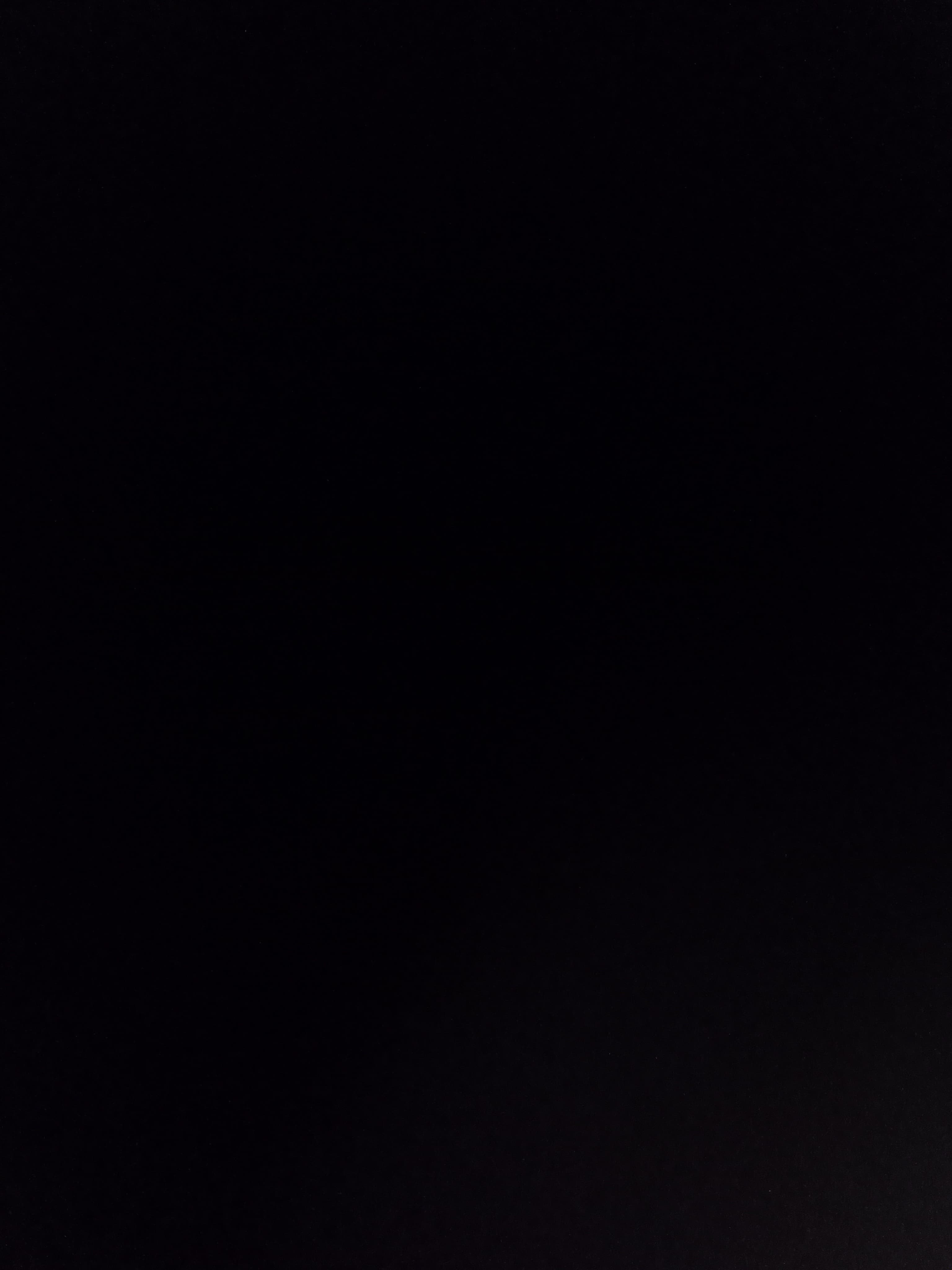 P.J. Tiggie banner image