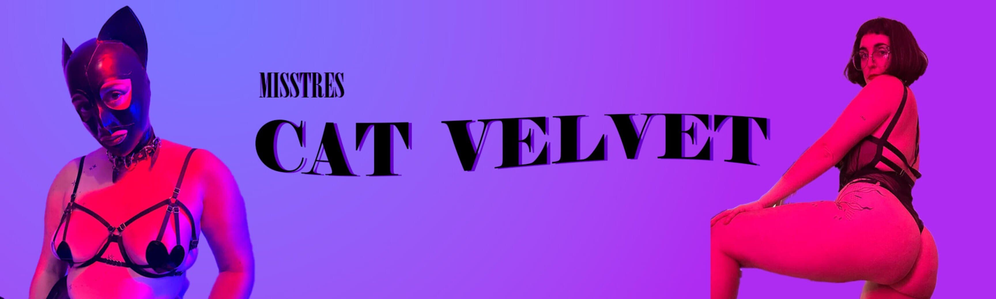 velvetcat banner image