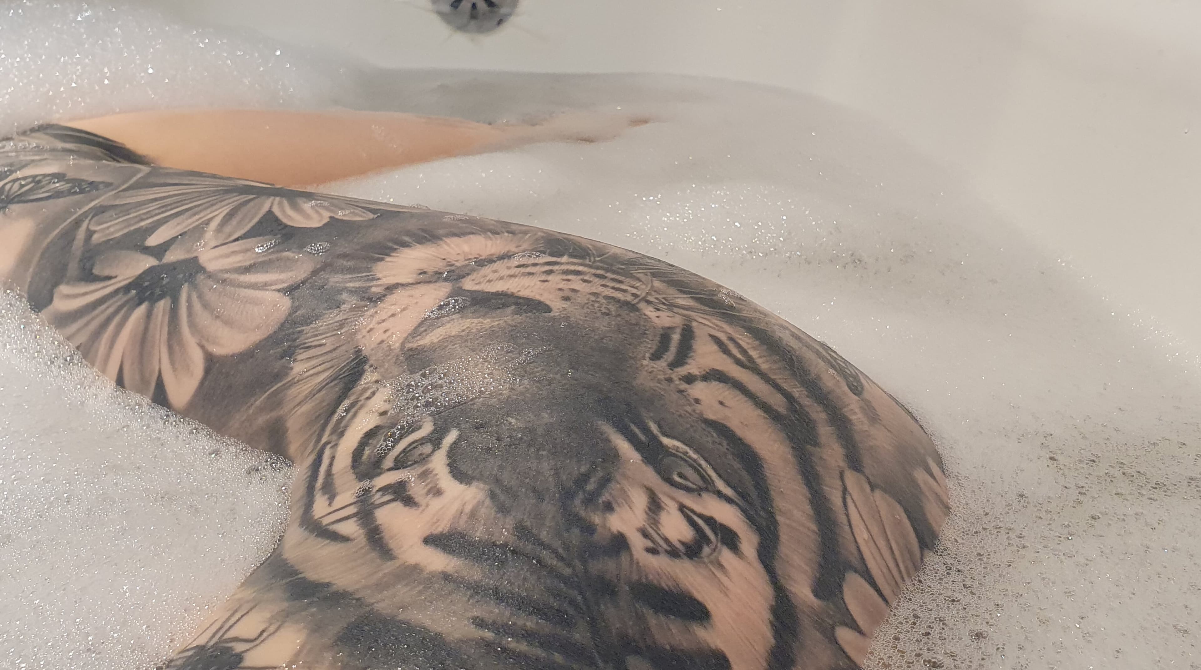 Bella Inked banner image