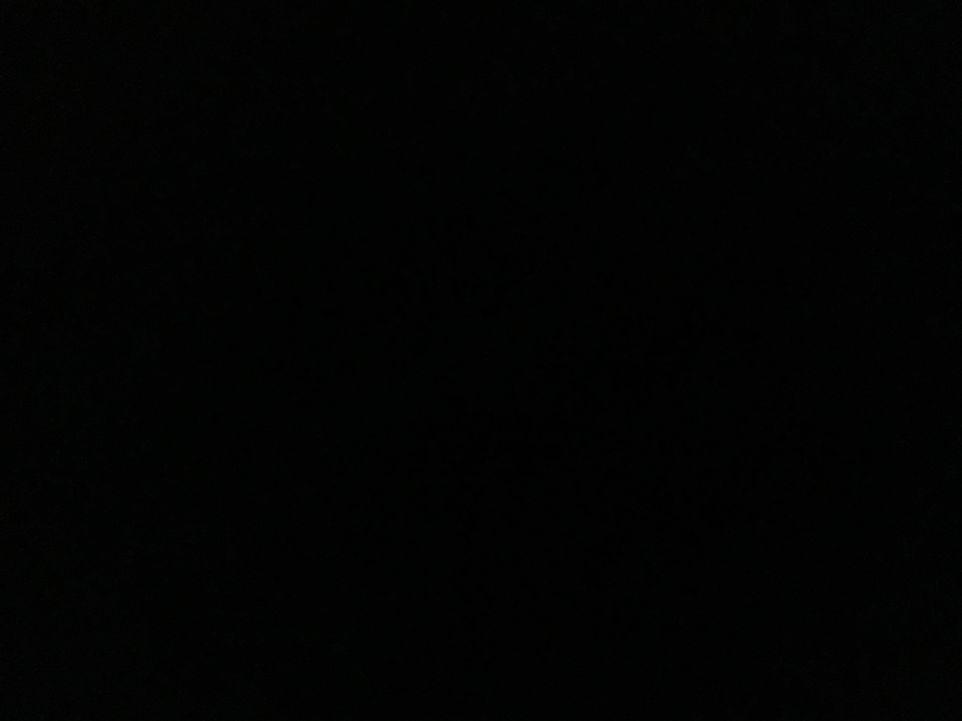 SJS banner image