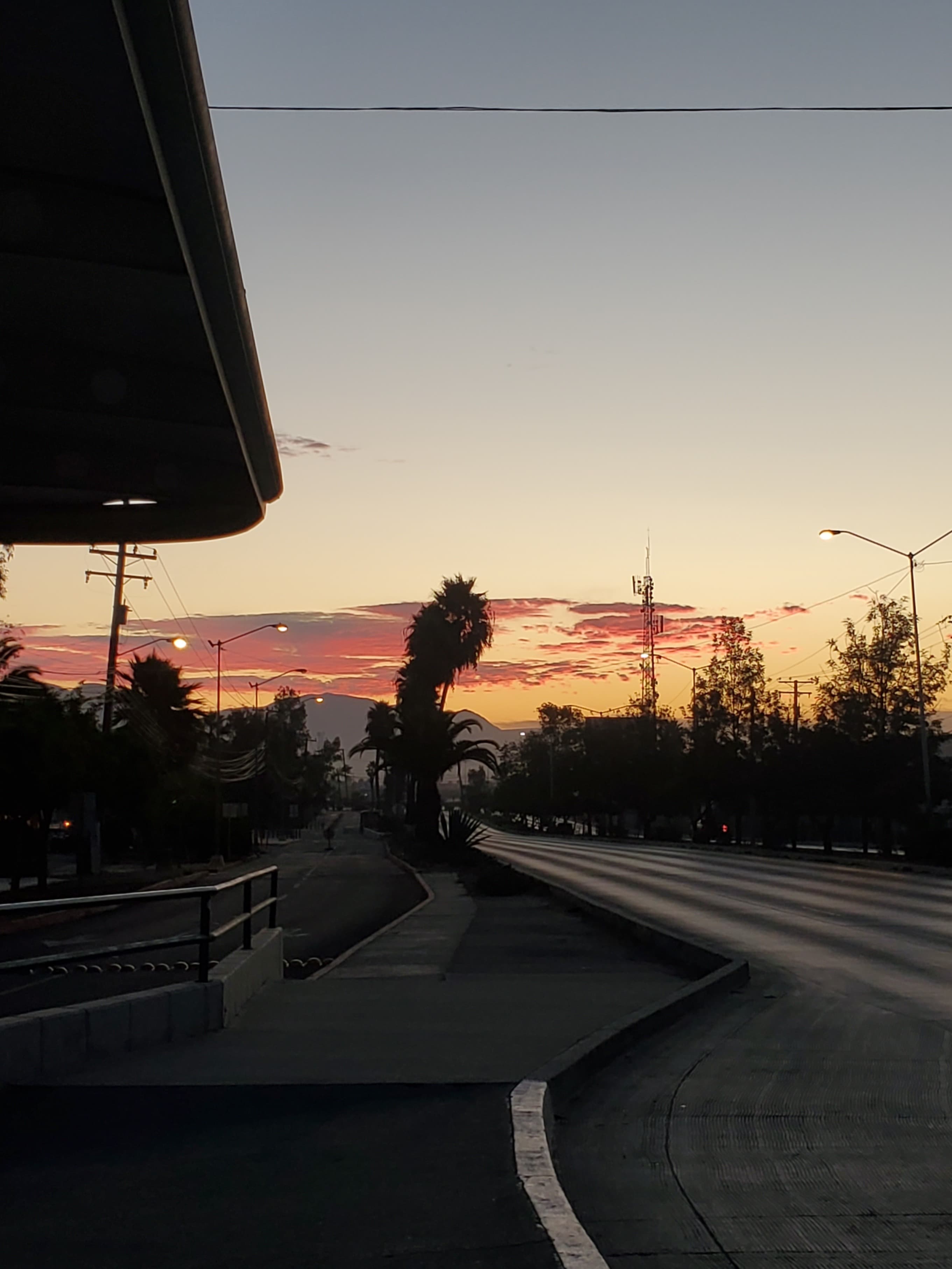 Martinez banner image